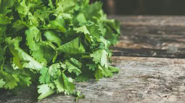 garnishing-instructions-image